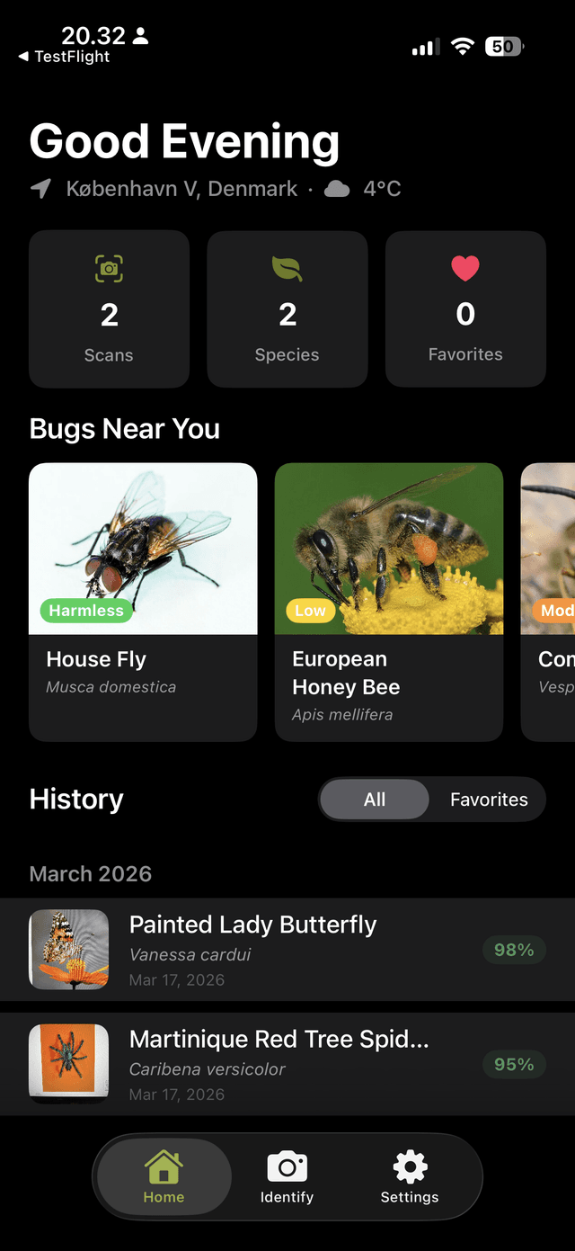 Bug Identifier home screen showing identified bugs